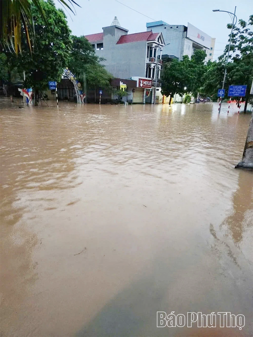 Ngập úng cục bộ tại phường Vĩnh Phúc sau mưa lớn do bão Bualoi