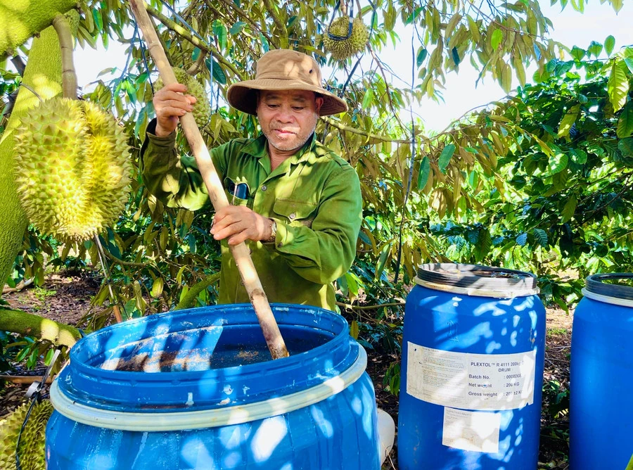 Biến rác thải thành phân bón hữu cơ