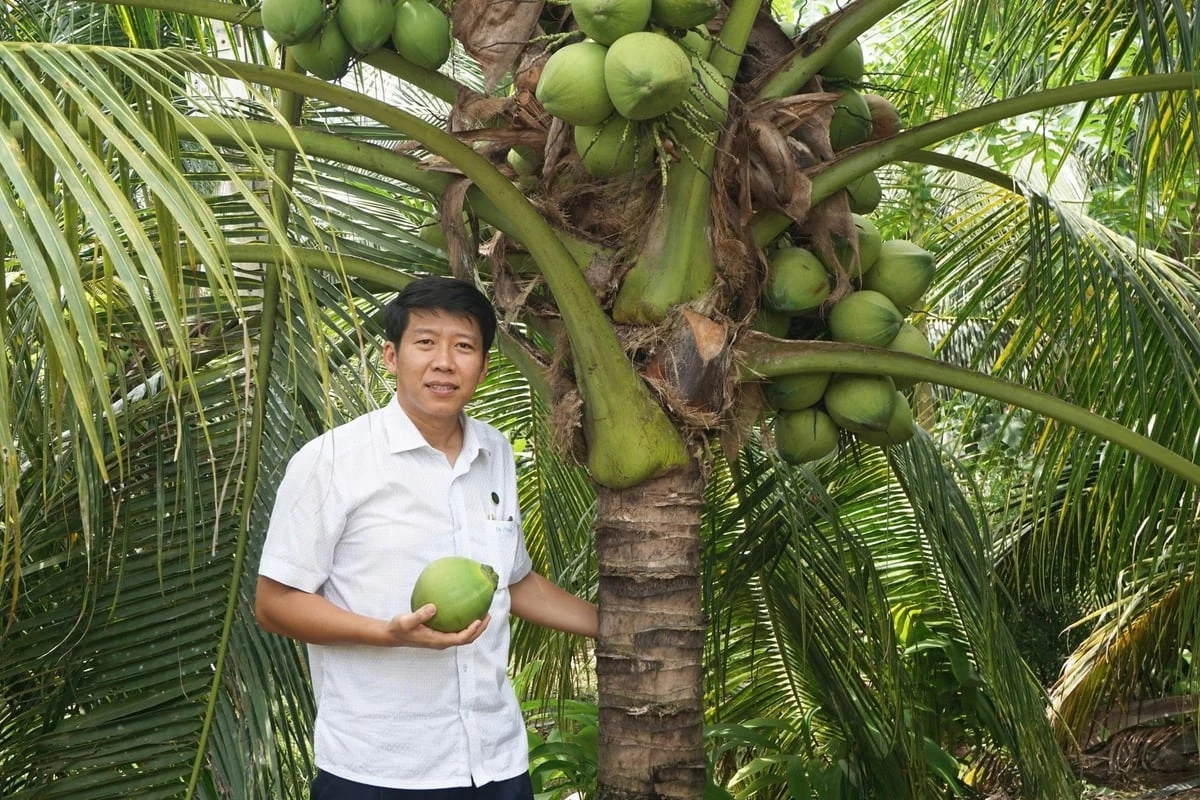 Độc đáo dự án Cây dừa cho bạn – Tấm lòng trao đi