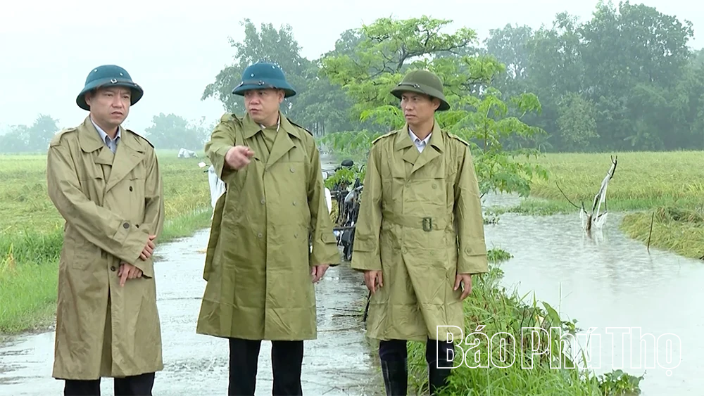 Khẩn trương bơm tiêu úng, cứu lúa vụ mùa