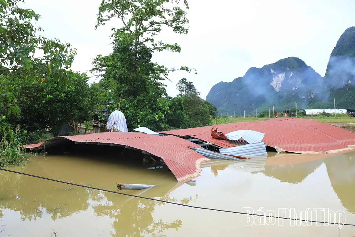 Phó Chủ tịch UBND tỉnh Đinh Công Sứ kiểm tra, chỉ đạo khắc phục hậu quả hoàn lưu bão số 10 khu vực Hoà Bình