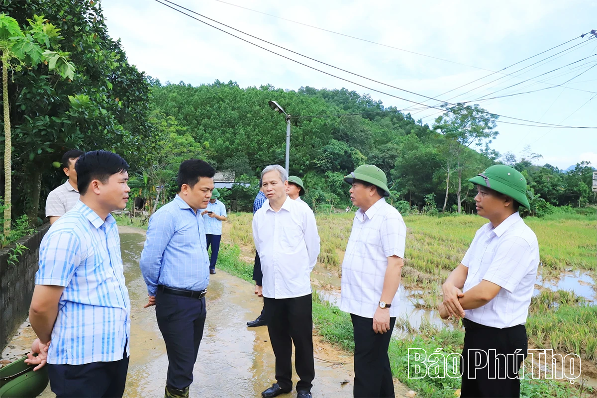 Phó Chủ tịch UBND tỉnh Đinh Công Sứ kiểm tra, chỉ đạo khắc phục hậu quả hoàn lưu bão số 10 khu vực Hoà Bình