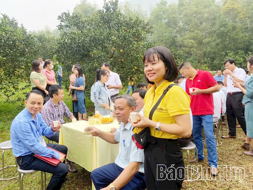 Phong trào thi đua yêu nước ở Đất Tổ anh hùng