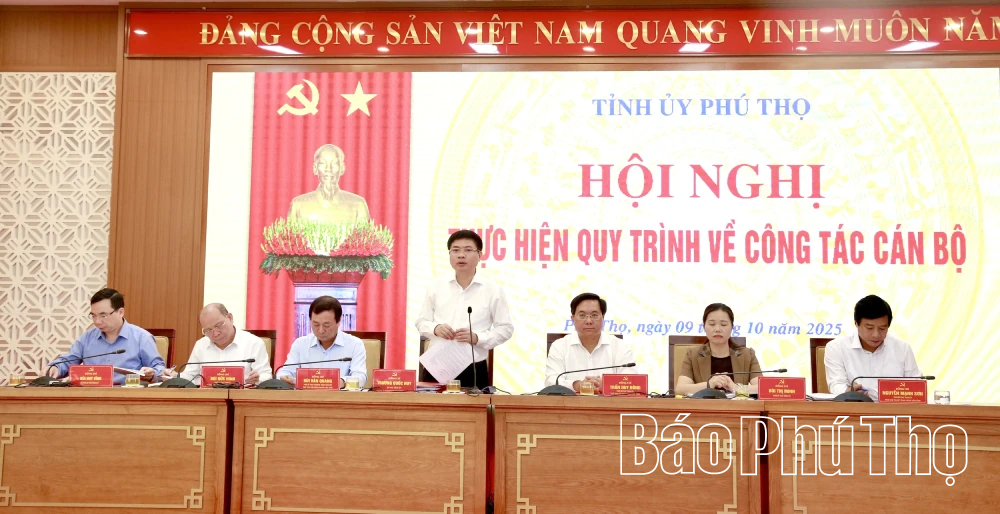Hội nghị Ban Thường vụ Tỉnh ủy thực hiện quy trình về công tác cán bộ