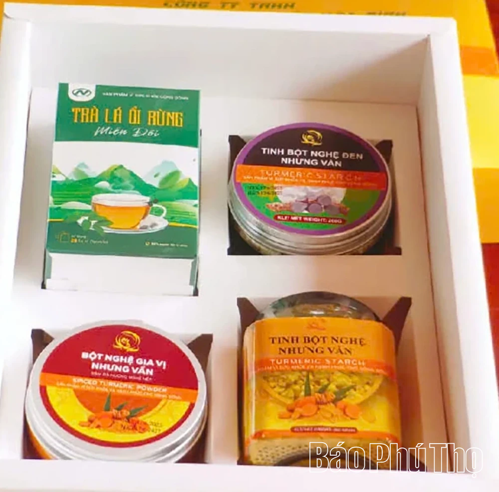 Tinh bột nghệ Nhưng Vần - Từ xứ Mường vươn ra thế giới