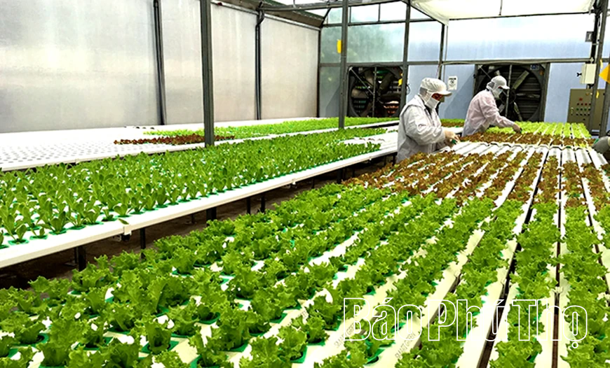 Đồng bằng kết hợp miền núi - Cơ hội và thử thách của ngành Nông nghiệp