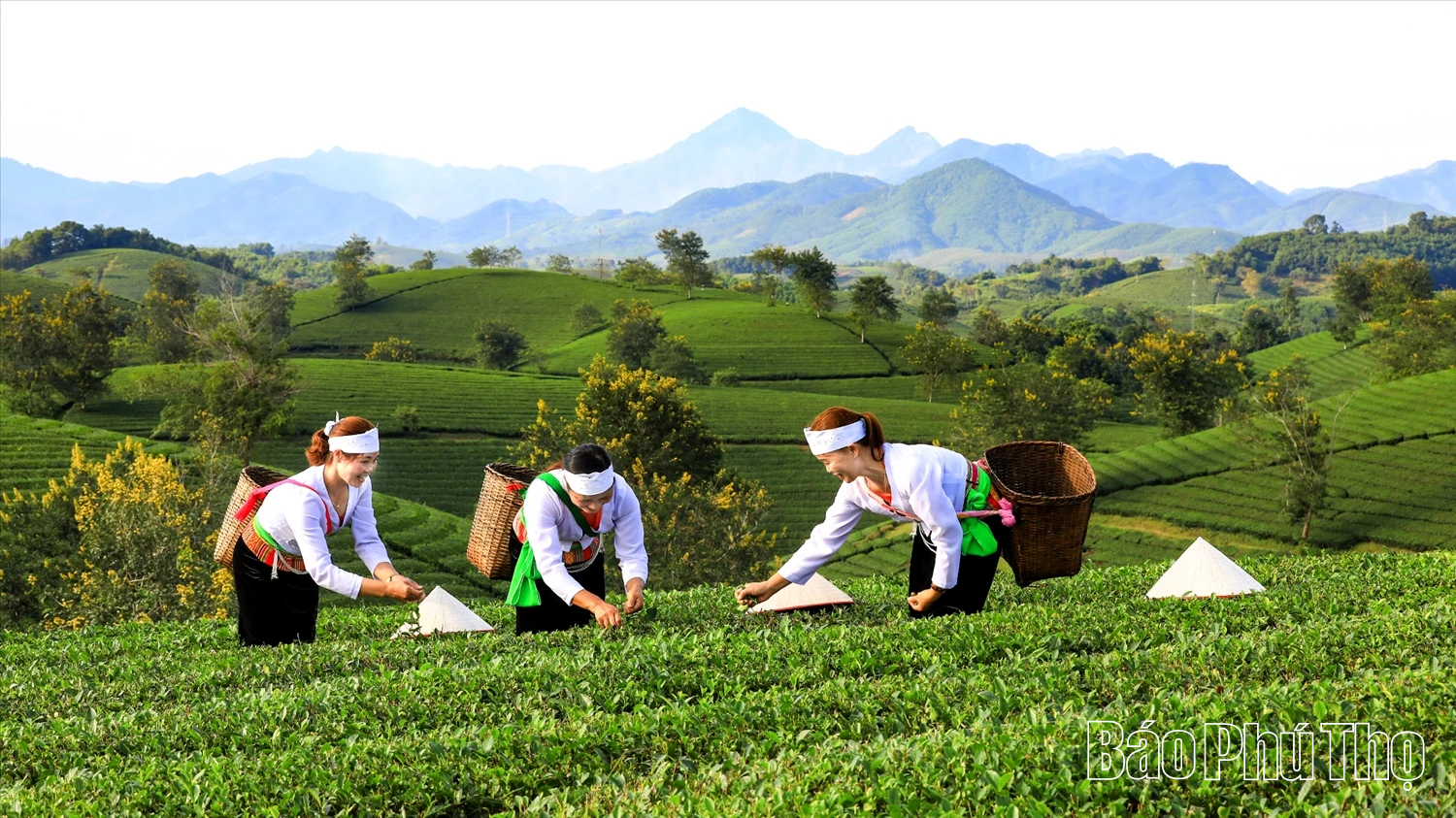 Đồng bằng kết hợp miền núi - Cơ hội và thử thách của ngành Nông nghiệp