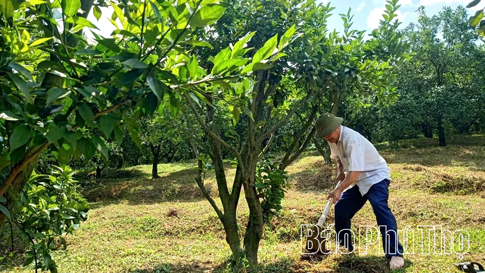 Phòng giao dịch NHCSXH Đà Bắc: Đưa vốn đến tay người nghèo