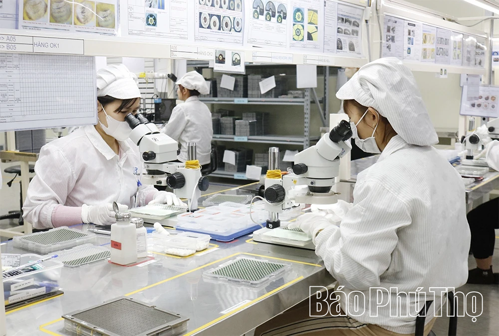 Biến lợi thế thành động lực phát triển