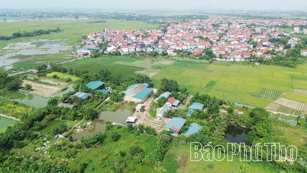 Xã Vĩnh An gỡ nút thắt trong vi phạm đất đai