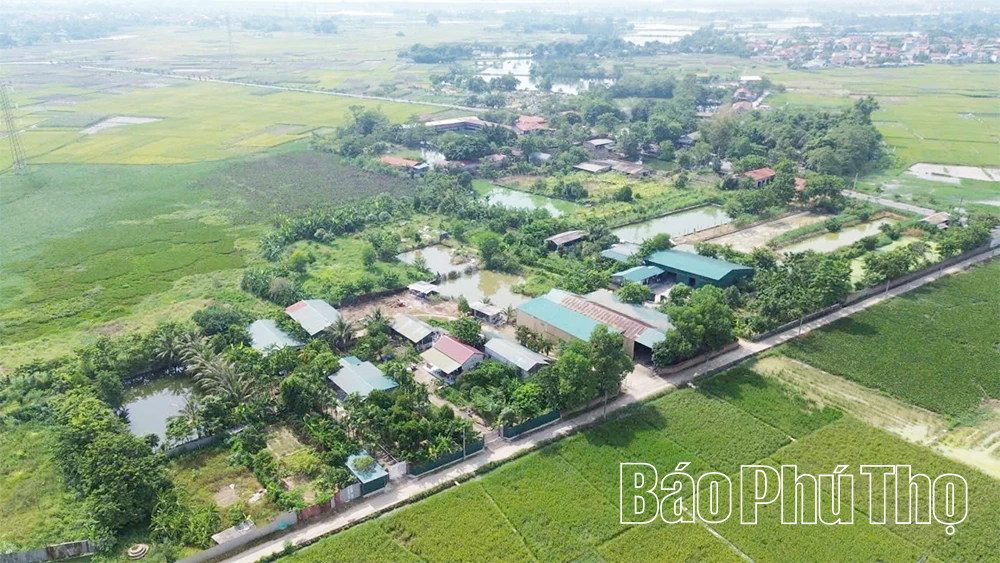 Xã Vĩnh An gỡ nút thắt trong vi phạm đất đai