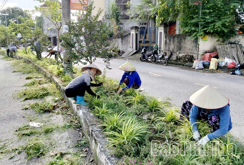 Hiệu quả cuộc vận động “Toàn dân đoàn kết xây dựng nông thôn mới, đô thị văn minh”