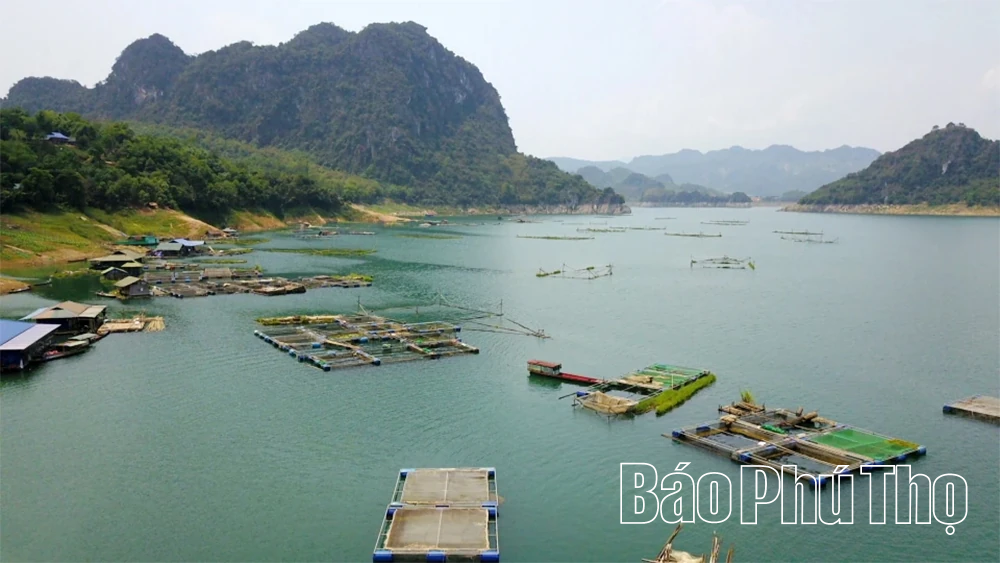 Từ sáng kiến nhỏ đến thay đổi lớn