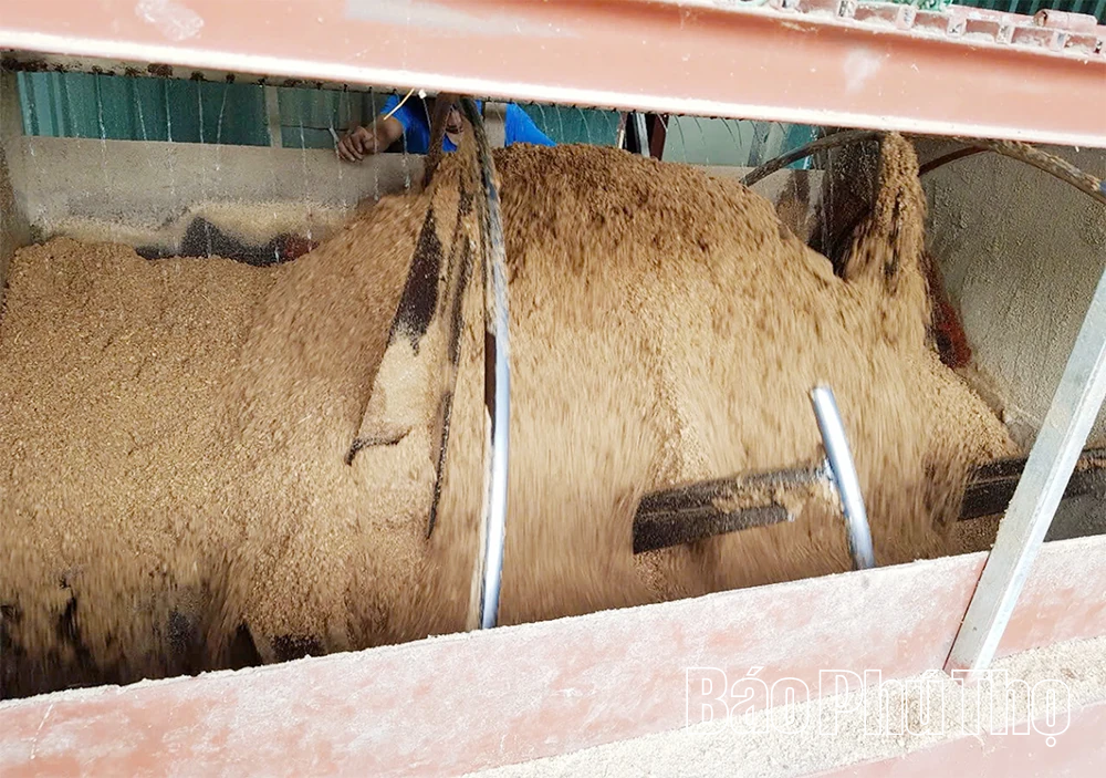 Ông Phùng Đức Định - Người đưa thương hiệu nấm Phùng Gia vươn tầm OCOP 4 sao