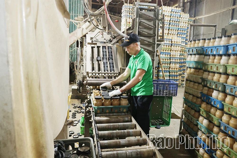 Ông Phùng Đức Định - Người đưa thương hiệu nấm Phùng Gia vươn tầm OCOP 4 sao