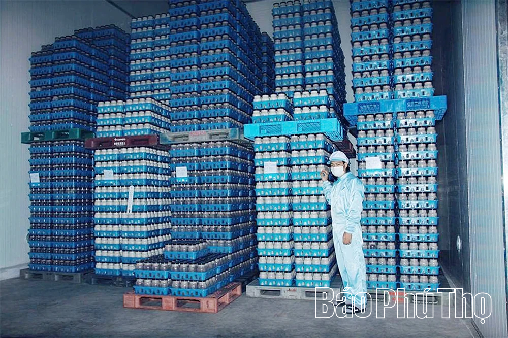 Ông Phùng Đức Định - Người đưa thương hiệu nấm Phùng Gia vươn tầm OCOP 4 sao