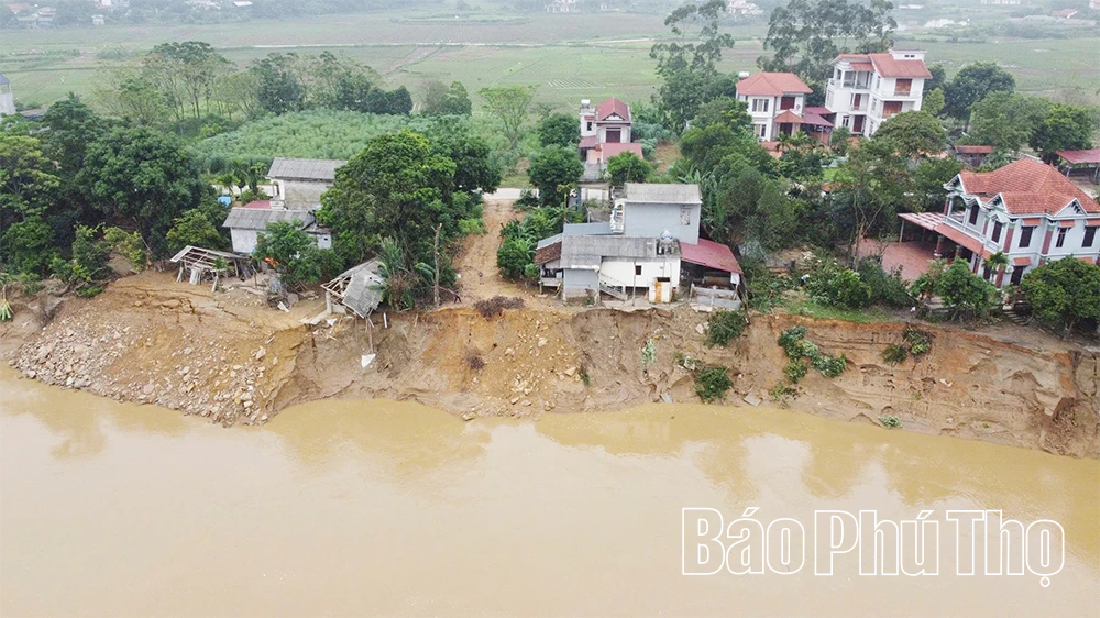 Sạt lở bờ sông Lô tại xã Dân Chủ và Phú Mỹ diễn biến phức tạp