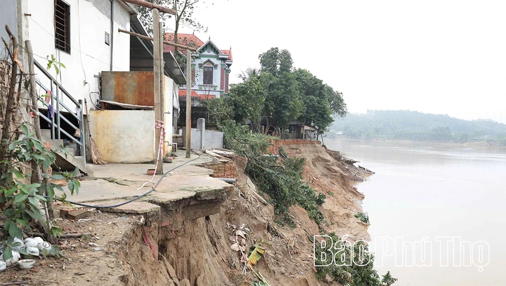 Sạt lở bờ sông Lô tại xã Dân Chủ và Phú Mỹ diễn biến phức tạp