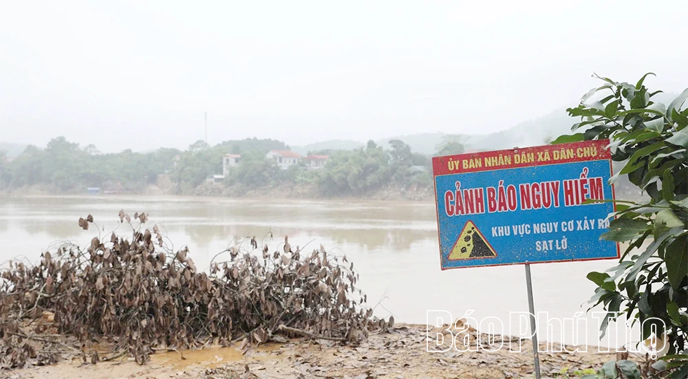 Sạt lở bờ sông Lô tại xã Dân Chủ và Phú Mỹ diễn biến phức tạp