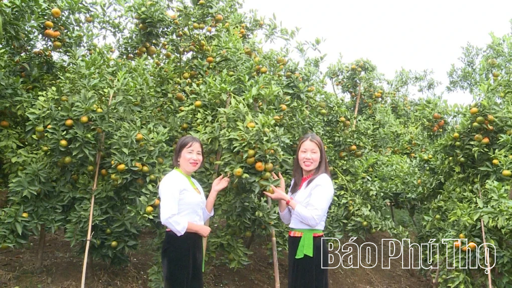 “Số hóa” đặc sản Lai Đồng