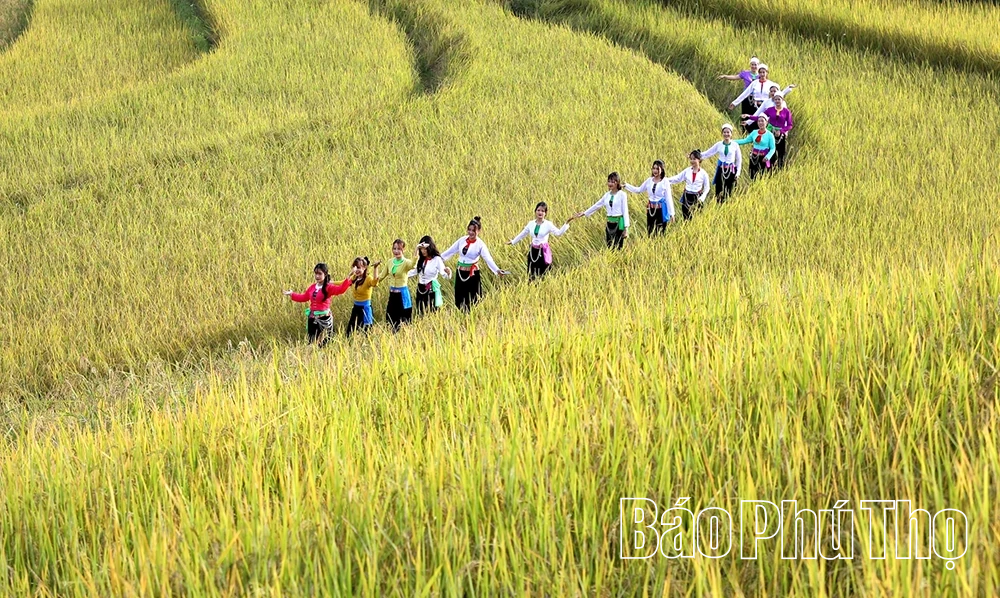 Lễ hội Ruộng bậc thang Miền Đồi 2025 sẽ có nhiều hoạt động đặc sắc