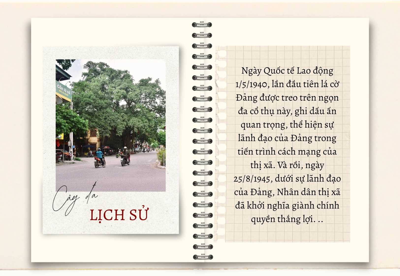 Mùa hoài niệm ở đô thị trăm tuổi