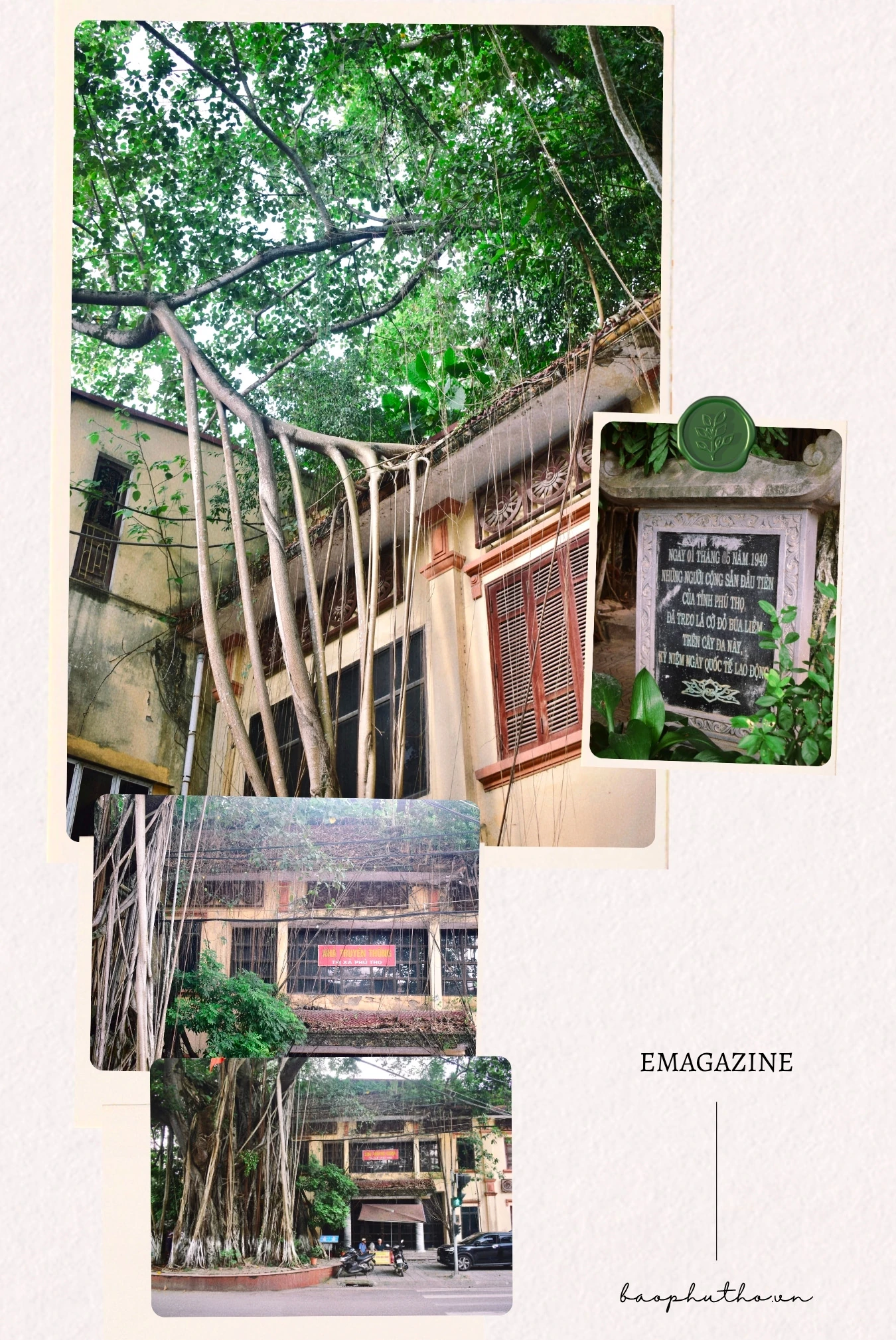 Mùa hoài niệm ở đô thị trăm tuổi