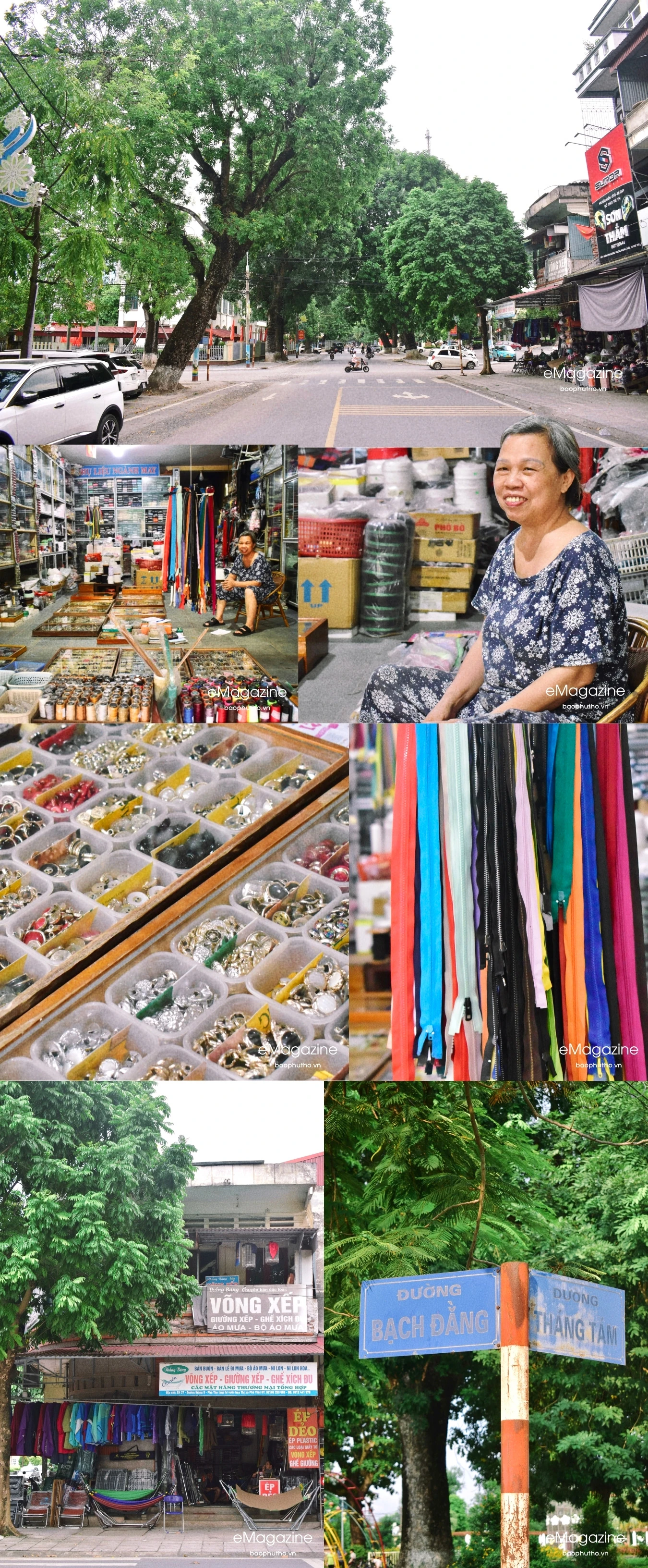 Mùa hoài niệm ở đô thị trăm tuổi