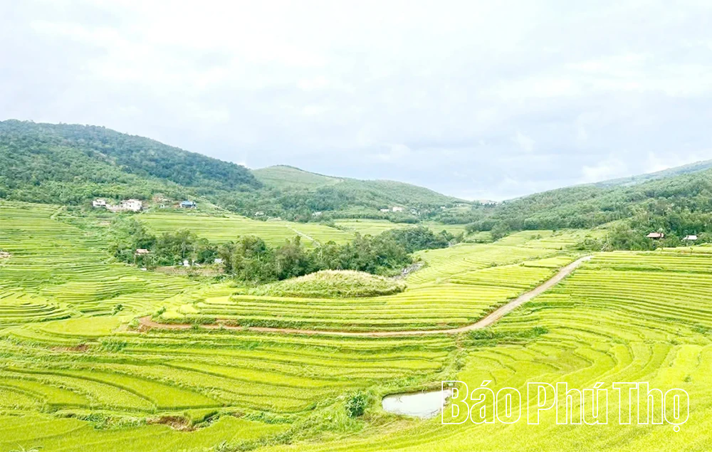 Sẵn sàng cho Lễ hội ruộng bậc thang Miền Đồi xã Thượng Cốc năm 2025