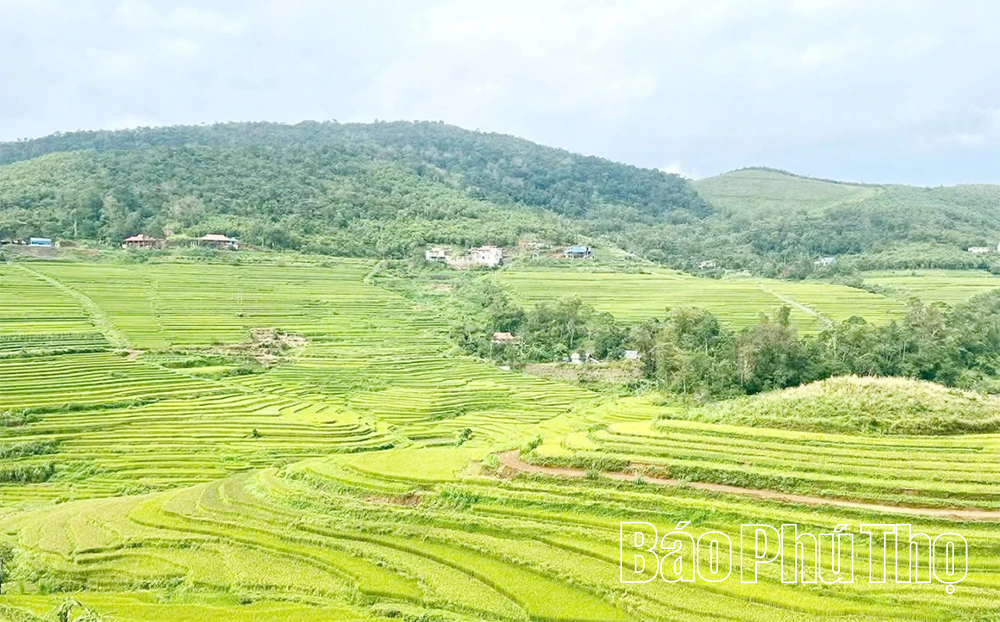 Sẵn sàng cho Lễ hội ruộng bậc thang Miền Đồi xã Thượng Cốc năm 2025