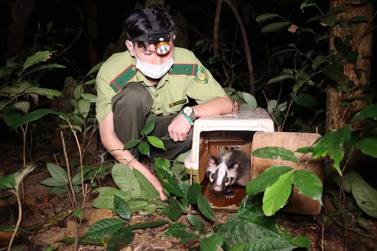 7 cơ quan được phép tiếp nhận gỗ, động, thực vật quý hiếm