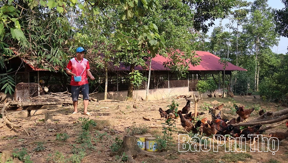 Nông dân xã Xuân Đài thi đua sản xuất giỏi