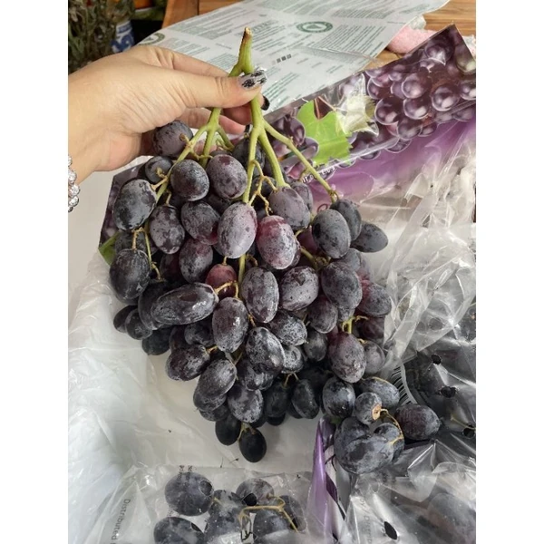 Giá cả thị trường ngày 17/10/2025