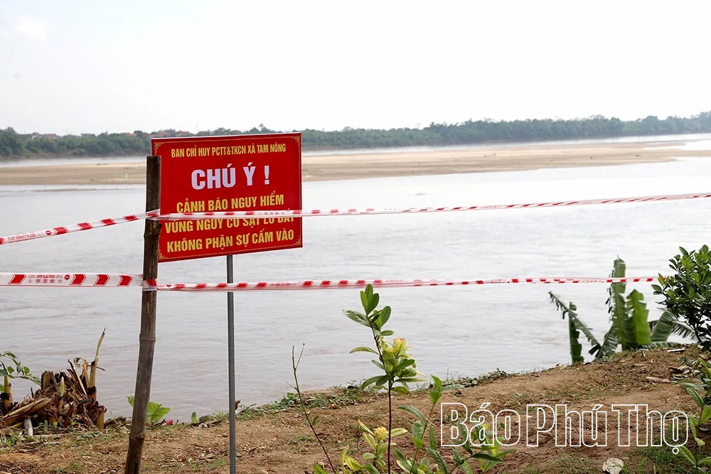 Chủ tịch UBND tỉnh Trần Duy Đông kiểm tra sạt lở đê hữu Thao, xã Tam Nông