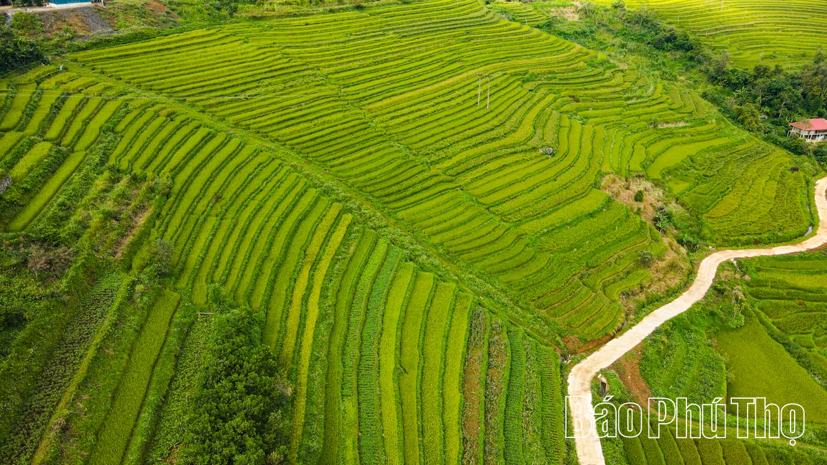 Let Your Soul Wander on the Mien Doi Highland