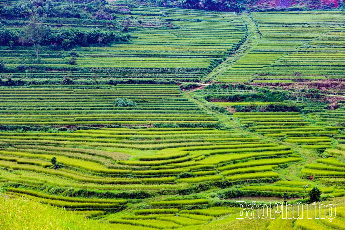 Let Your Soul Wander on the Mien Doi Highland