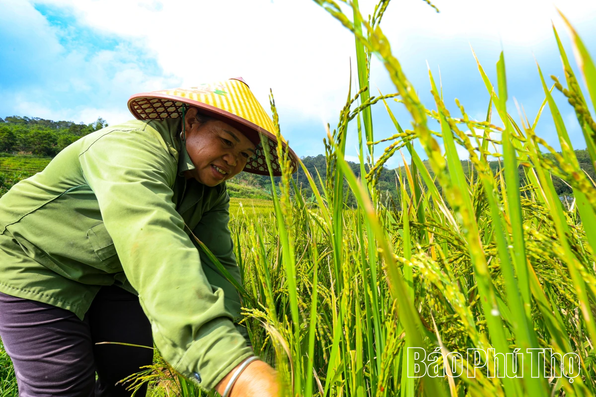 Let Your Soul Wander on the Mien Doi Highland