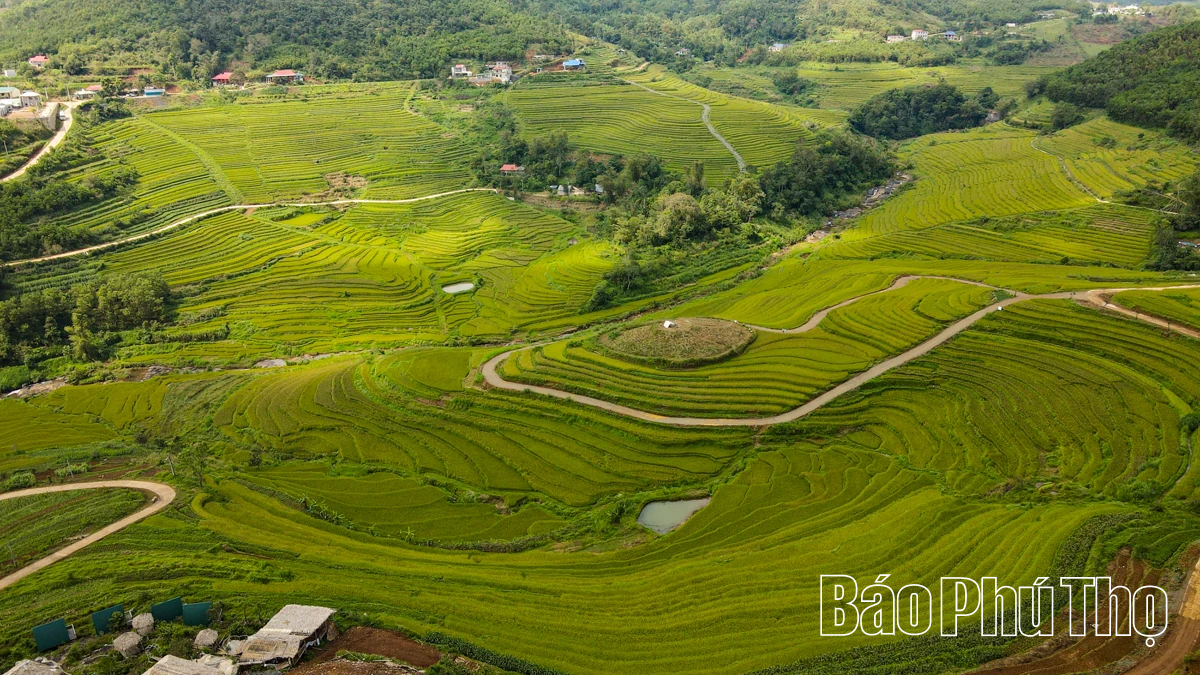 Let Your Soul Wander on the Mien Doi Highland