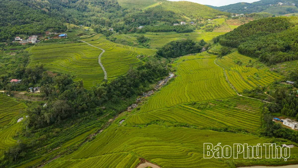 Let Your Soul Wander on the Mien Doi Highland