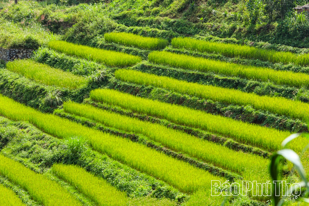 Let Your Soul Wander on the Mien Doi Highland