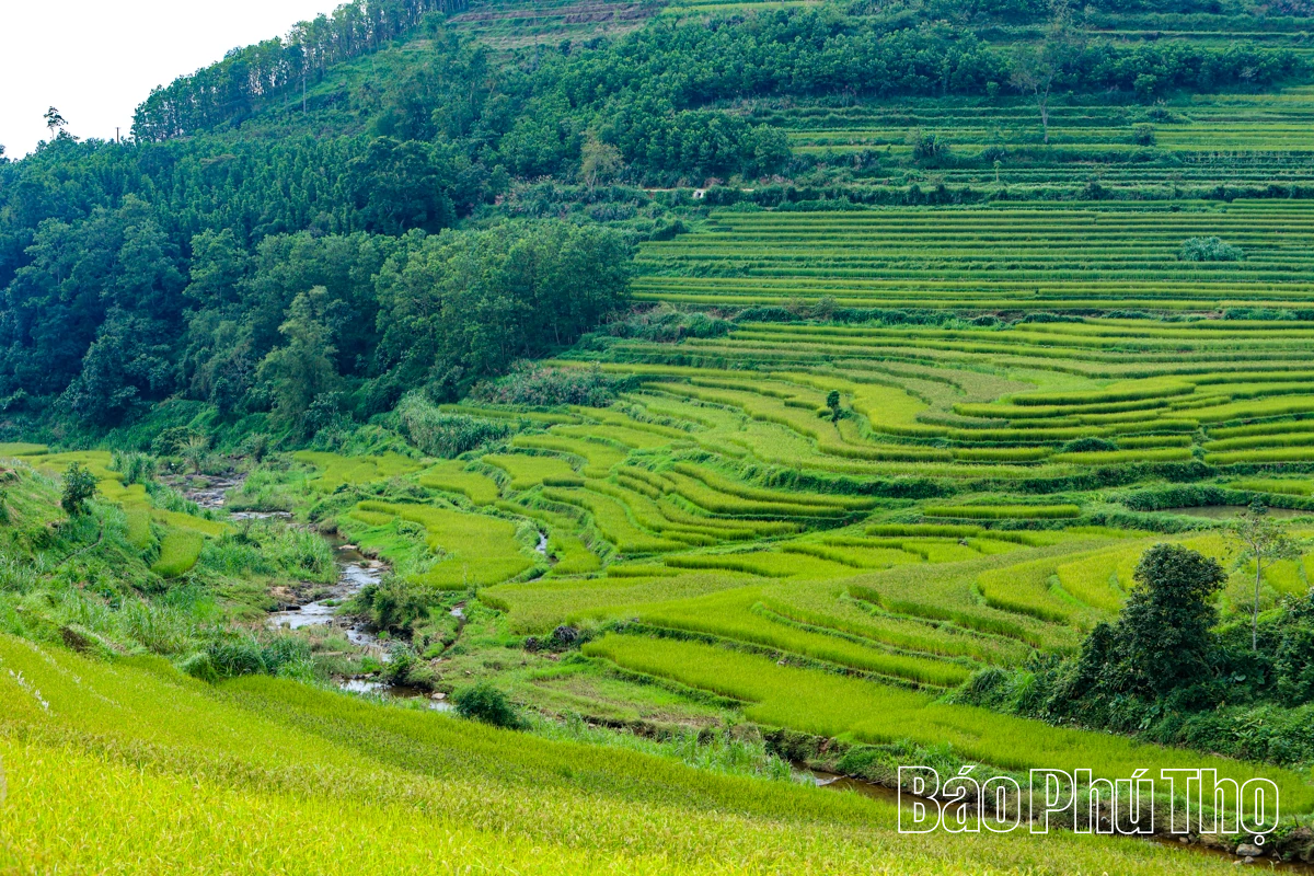Let Your Soul Wander on the Mien Doi Highland