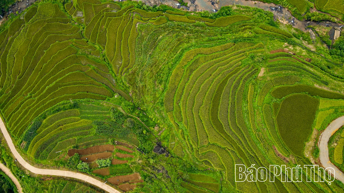 Let Your Soul Wander on the Mien Doi Highland