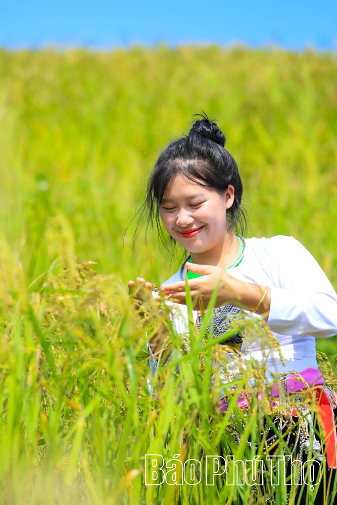 Let Your Soul Wander on the Mien Doi Highland