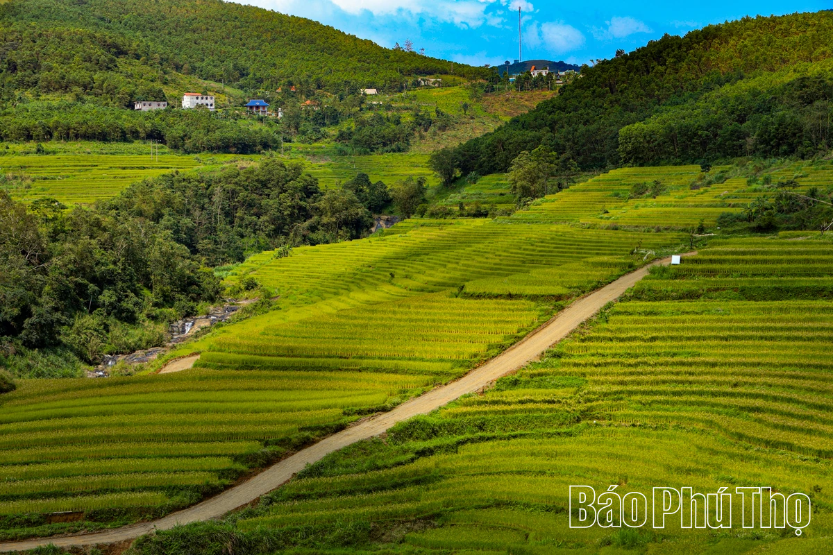 Let Your Soul Wander on the Mien Doi Highland