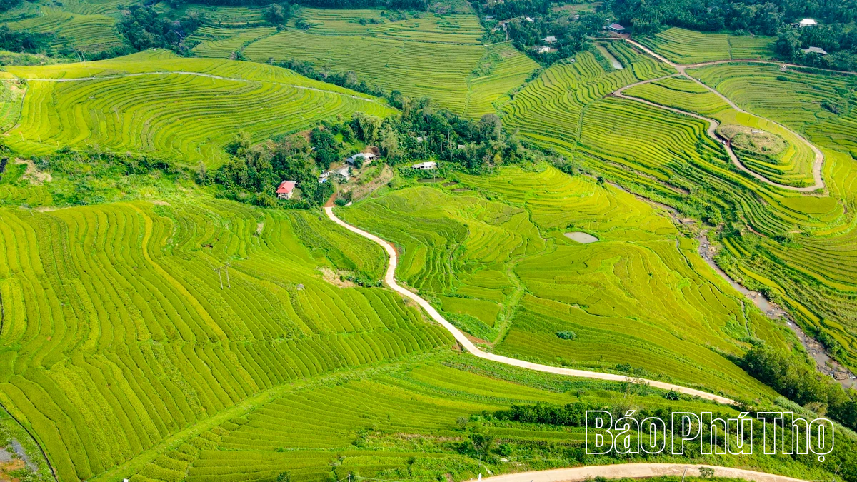 Let Your Soul Wander on the Mien Doi Highland