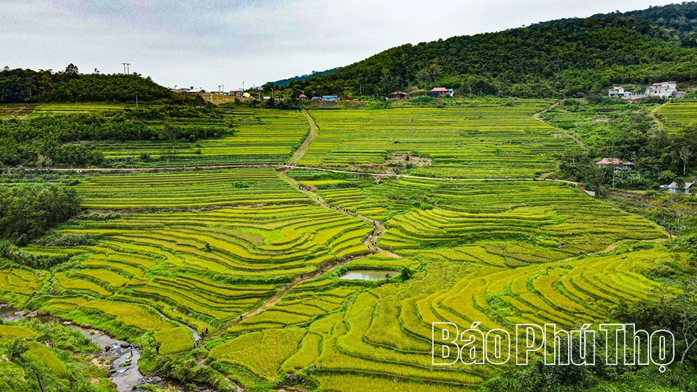 Mien Doi Terraced Fields Festival 2025