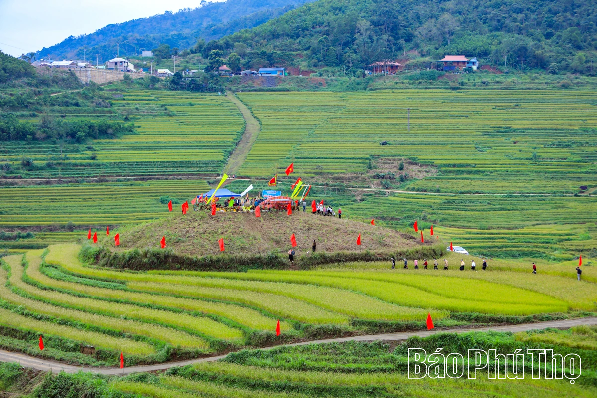 Mùa lúa chín Miền Đồi - điểm hẹn văn hóa Mường