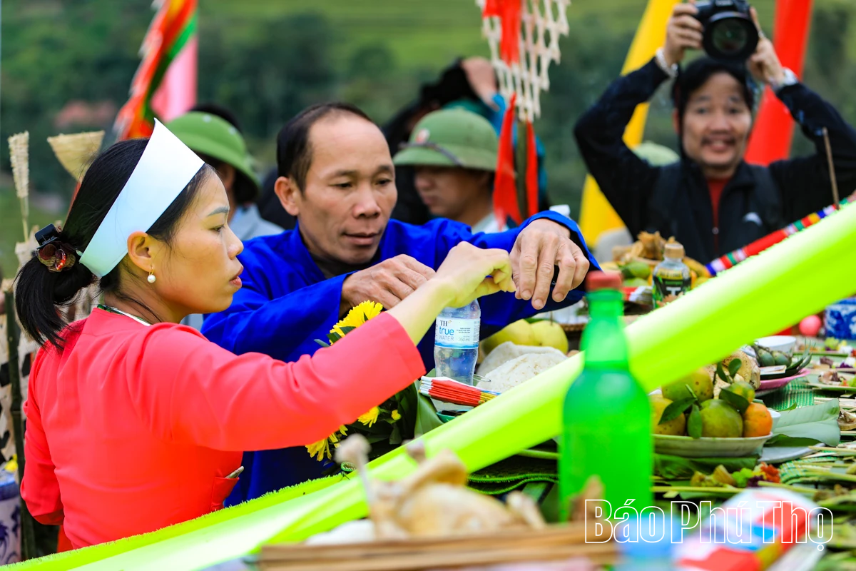 Mùa lúa chín Miền Đồi - điểm hẹn văn hóa Mường
