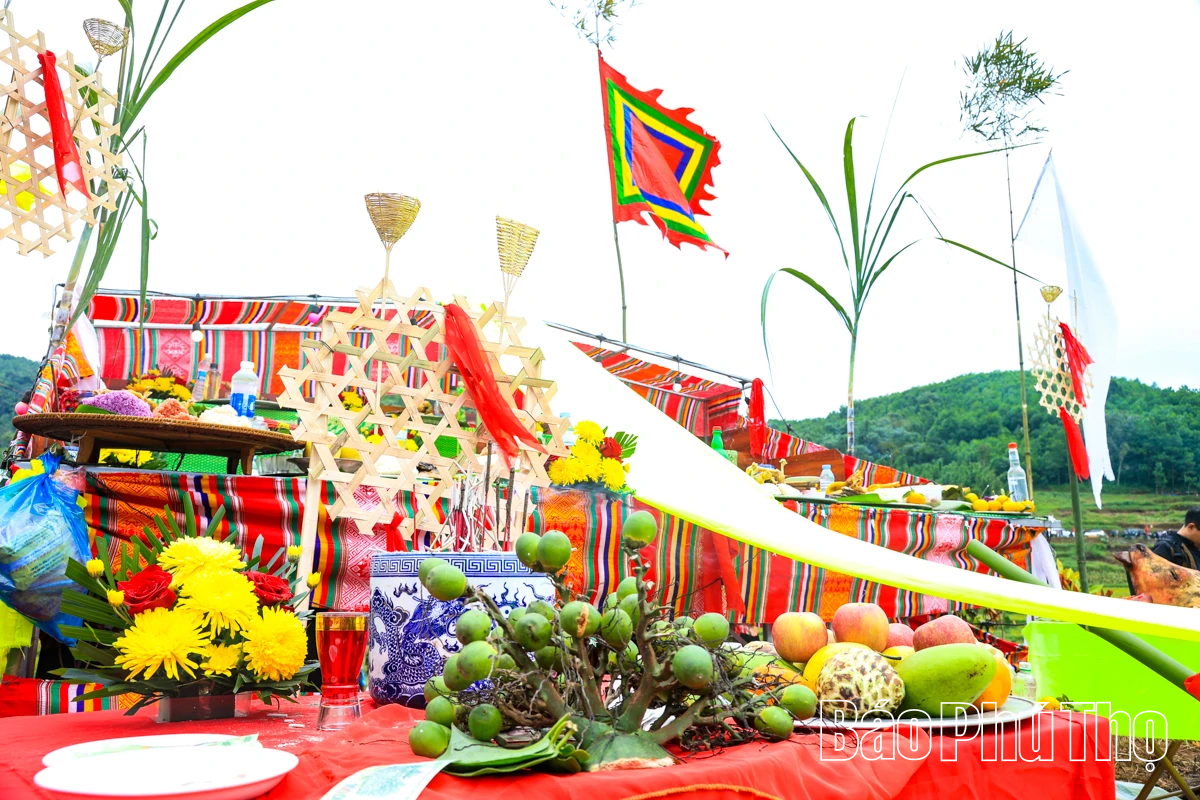 Mùa lúa chín Miền Đồi - điểm hẹn văn hóa Mường