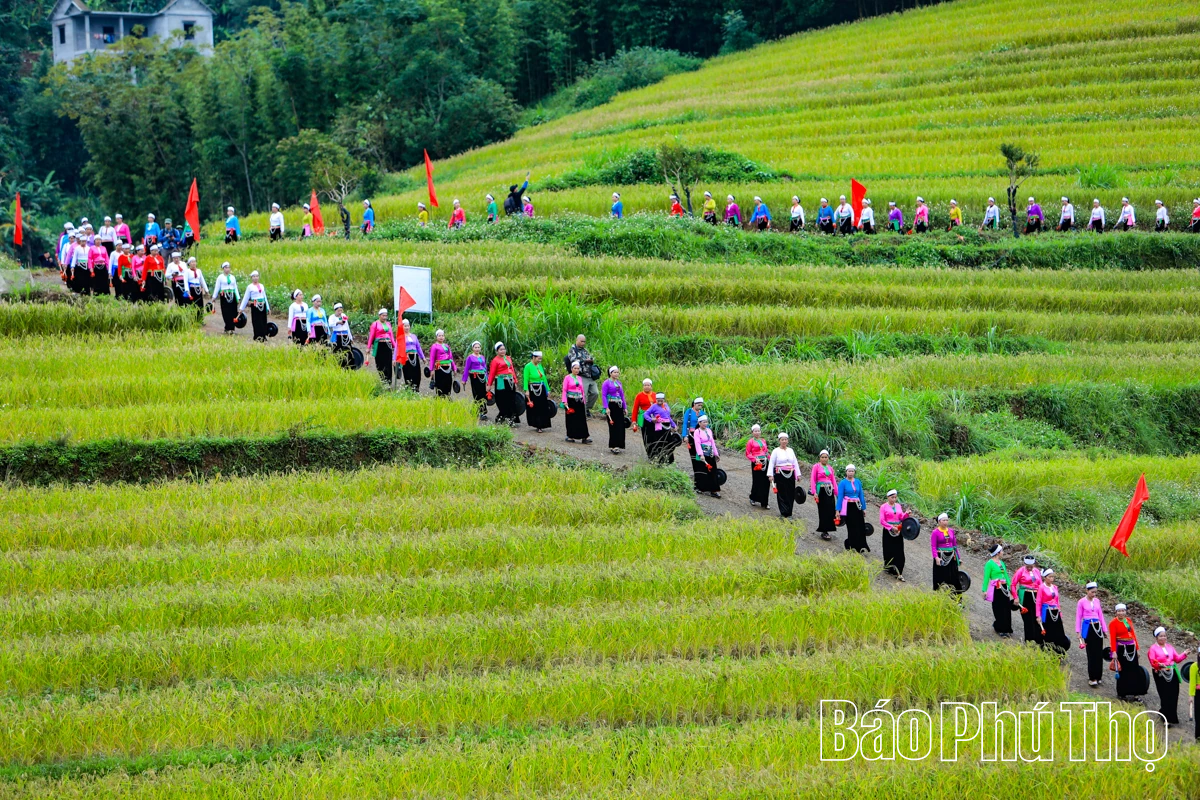 Mùa lúa chín Miền Đồi - điểm hẹn văn hóa Mường